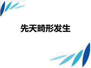 先天畸形的发生汇总课件.ppt