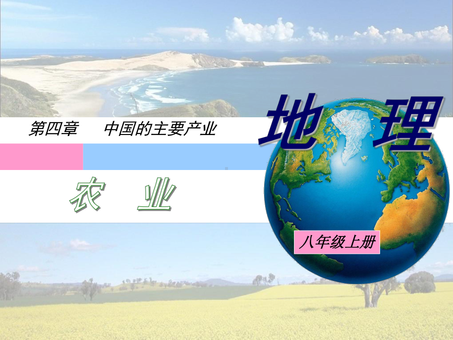 农业湘教版-课件.ppt_第3页