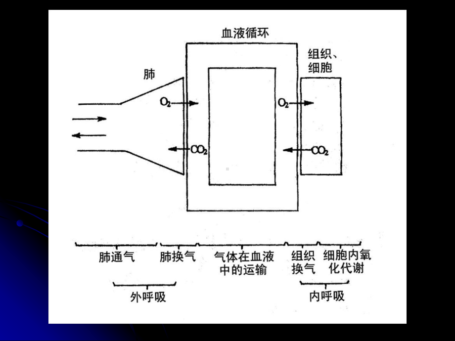 影响肺顺应性和气道阻力的因素解析课件.ppt_第3页