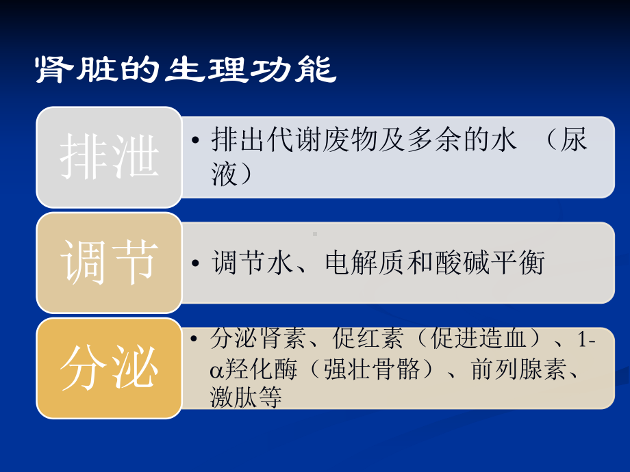 如何从日常不适症状早期识别诊断肾病健康宣教教案课件.pptx_第3页