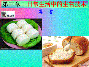 发酵食品的制作课件.ppt