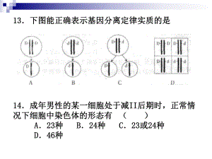 基因突变和基因重组课件-公开课一等奖课件.ppt