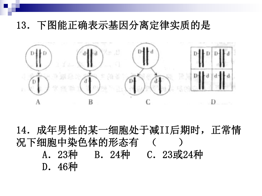 基因突变和基因重组课件-公开课一等奖课件.ppt_第1页