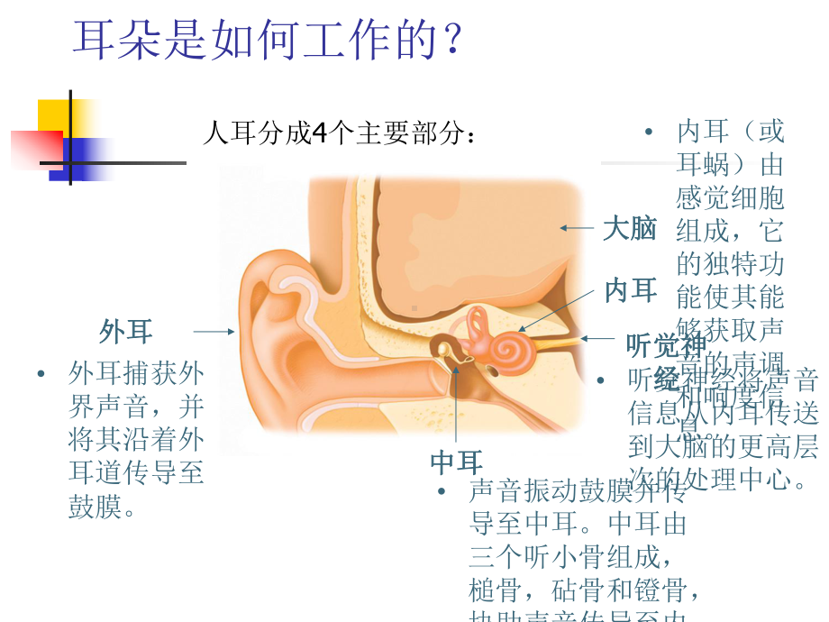 听力损失及防治课件.ppt_第3页