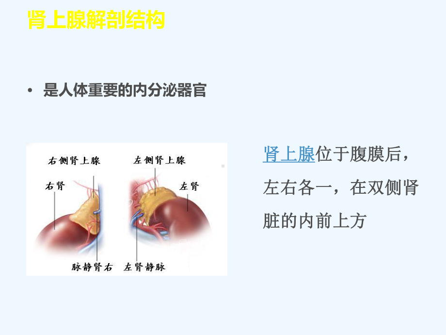 嗜络细胞瘤围手术期管理课件.ppt_第3页