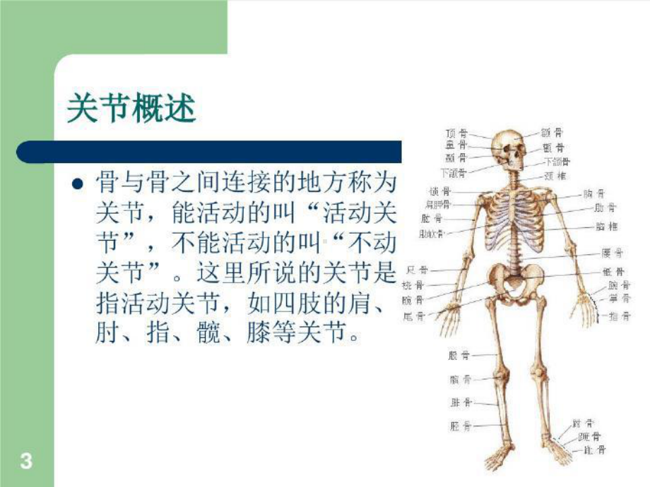 关节外科相关知识护理常规课件.ppt_第3页