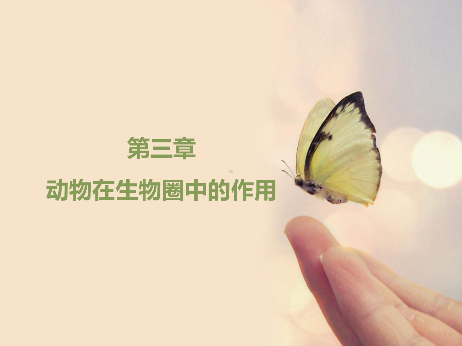 动物在生物圈中的作用课件12-人教版.ppt_第1页