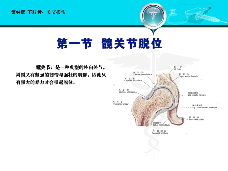 外科学第八版下肢骨关节损伤课件.ppt_第3页