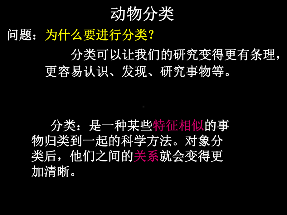 常见的动物课件3.ppt_第3页