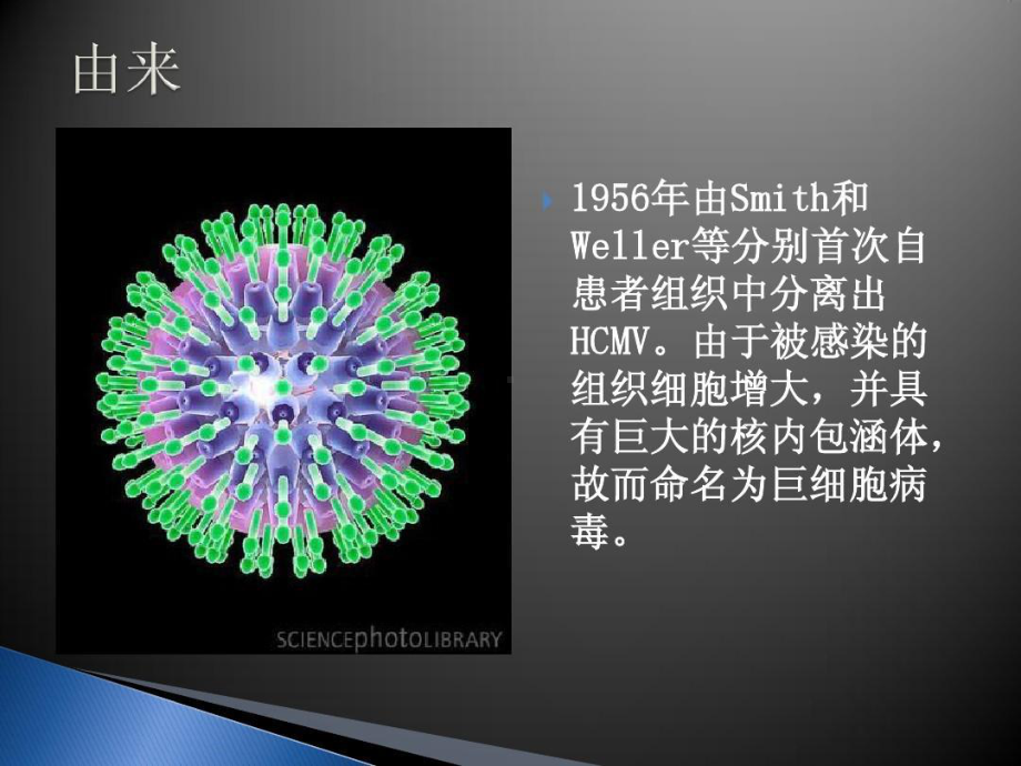 儿童巨细胞病毒性疾病诊断和防治共51张课件.ppt_第2页