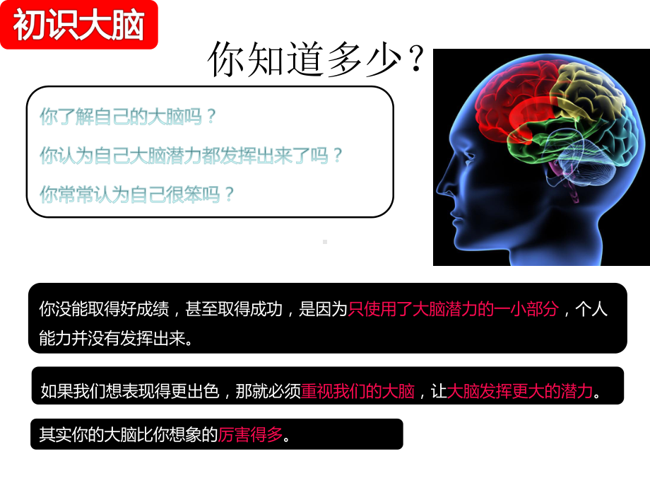 大脑思维导图课件.ppt_第3页