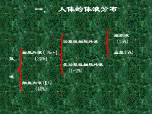 外科病人体液失调83张课件.ppt