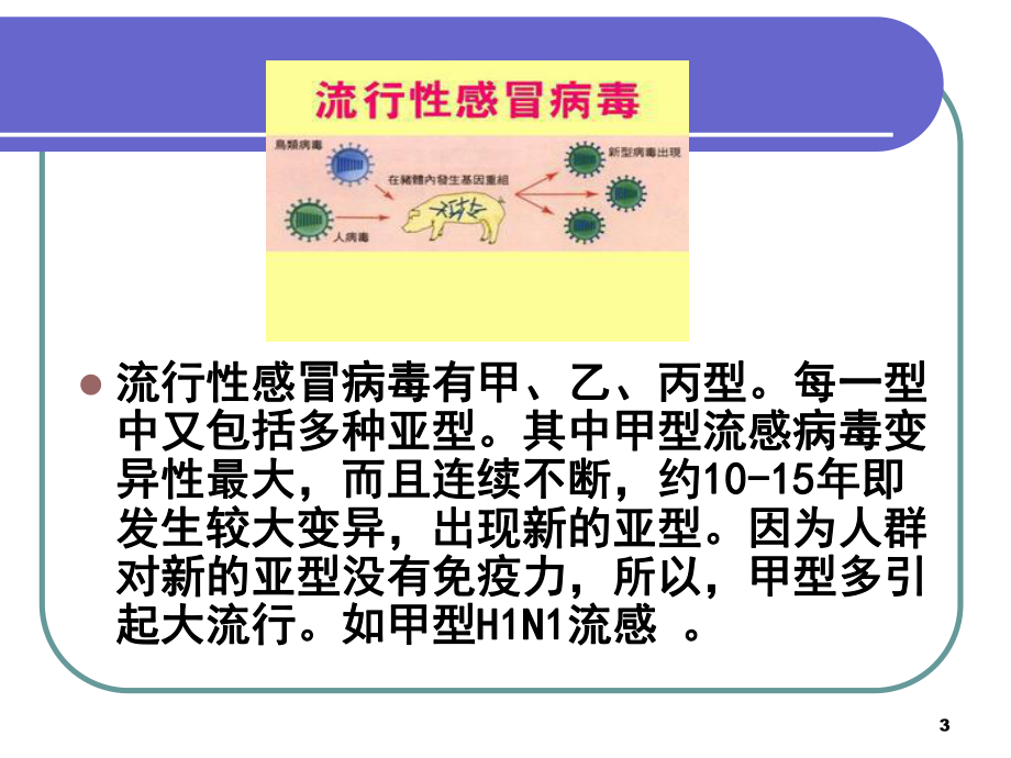 夏季常见疾病的预防课件.ppt_第3页