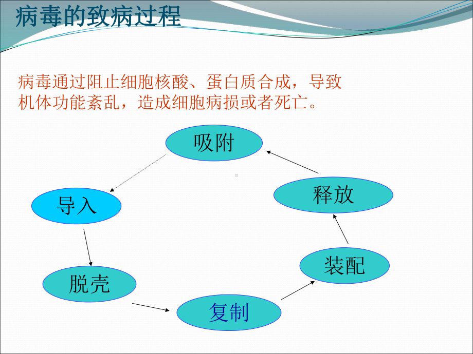 儿童用利巴韦林学-课件.ppt_第3页