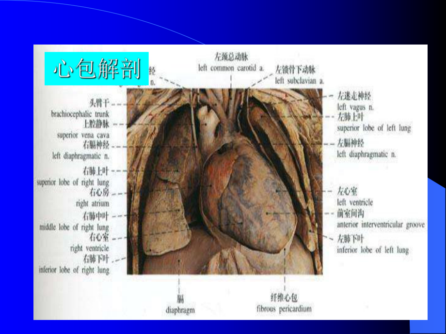 心包疾病医学课件.ppt_第2页