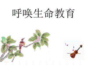 呼唤生命教育课件.ppt