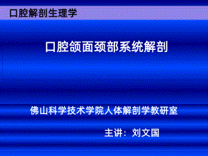 口腔面颈部系统解剖上下颌骨课件.ppt