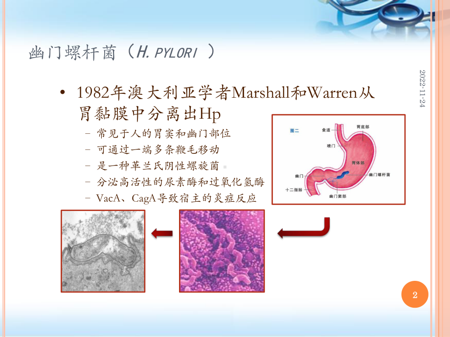 幽门螺旋杆菌分型检测(课堂)课件.pptx_第2页