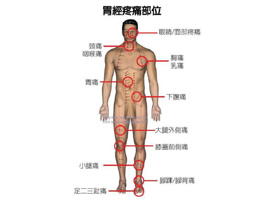 各经络疼痛部位详细分布图共143张课件.ppt_第1页