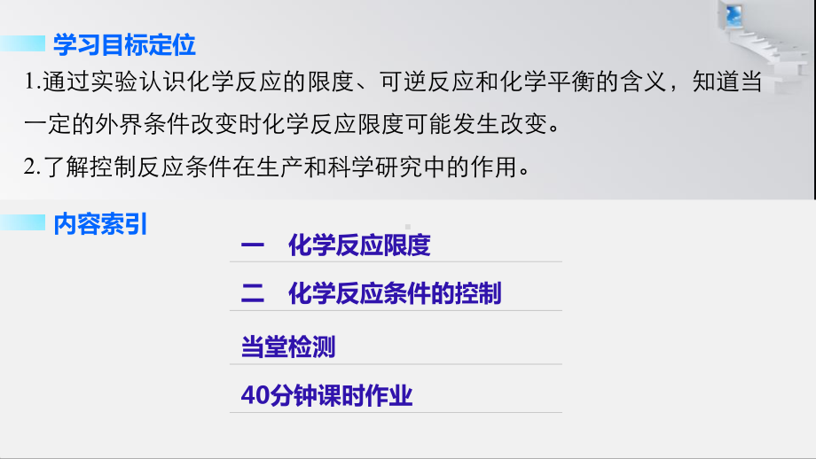 化学反应的限度化学反应条件的控制课件.pptx_第2页