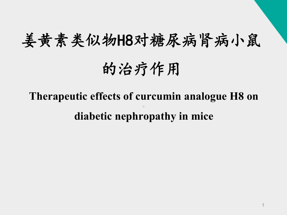 姜黄素类似物H8对糖尿病肾病小鼠的治疗作用课件.ppt_第1页