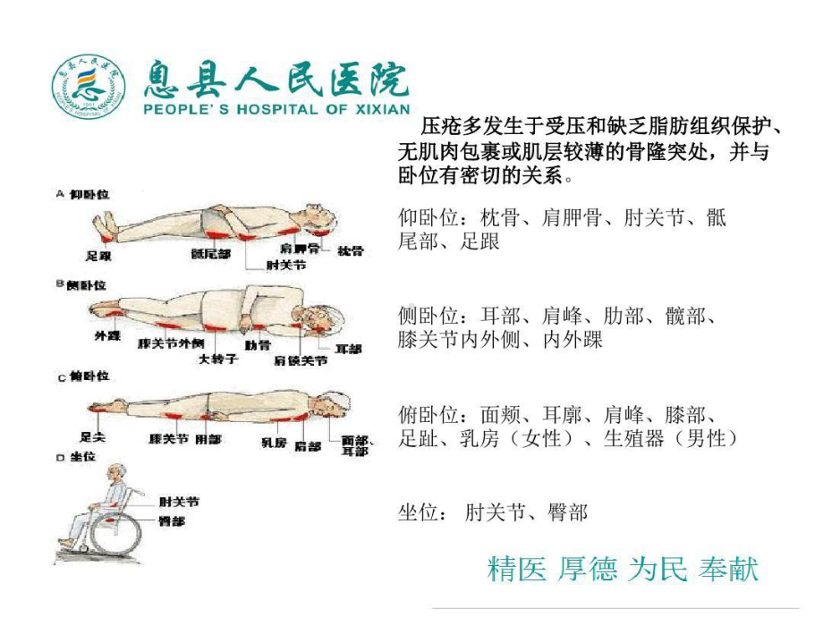 压疮的诊断和护理教学教材共36张课件.ppt_第3页