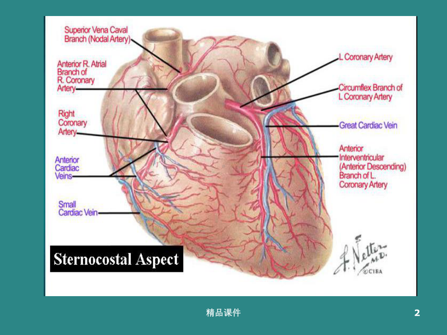 急性心肌梗死的再灌注治疗课件.ppt_第2页