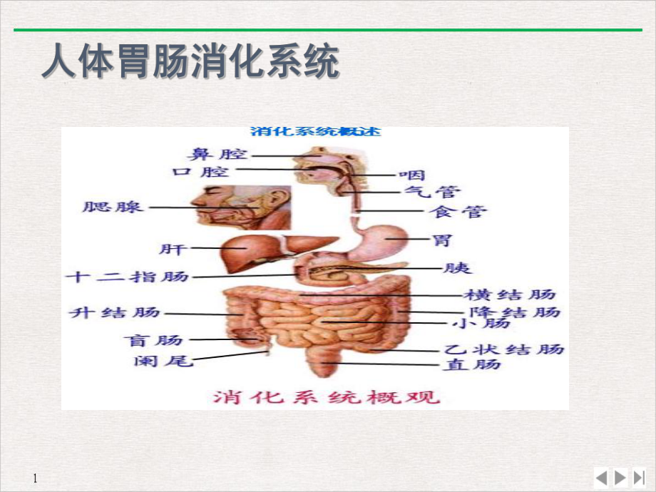 常见胃肠疾病及相关联合用药课件.ppt_第3页