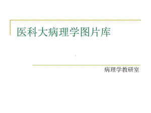 史上最全的病理学切片图片库39张课件.ppt