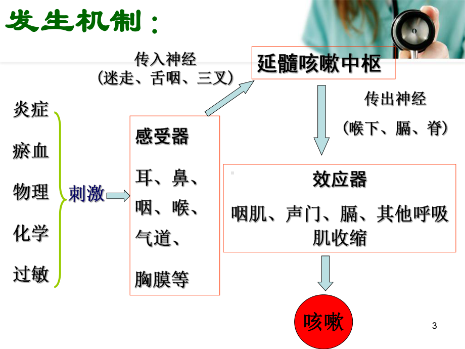 咳嗽病人的护理课件-2.ppt_第3页