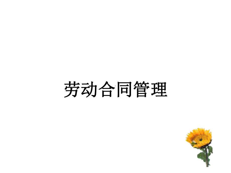 劳动合同相关知识课件.ppt_第1页