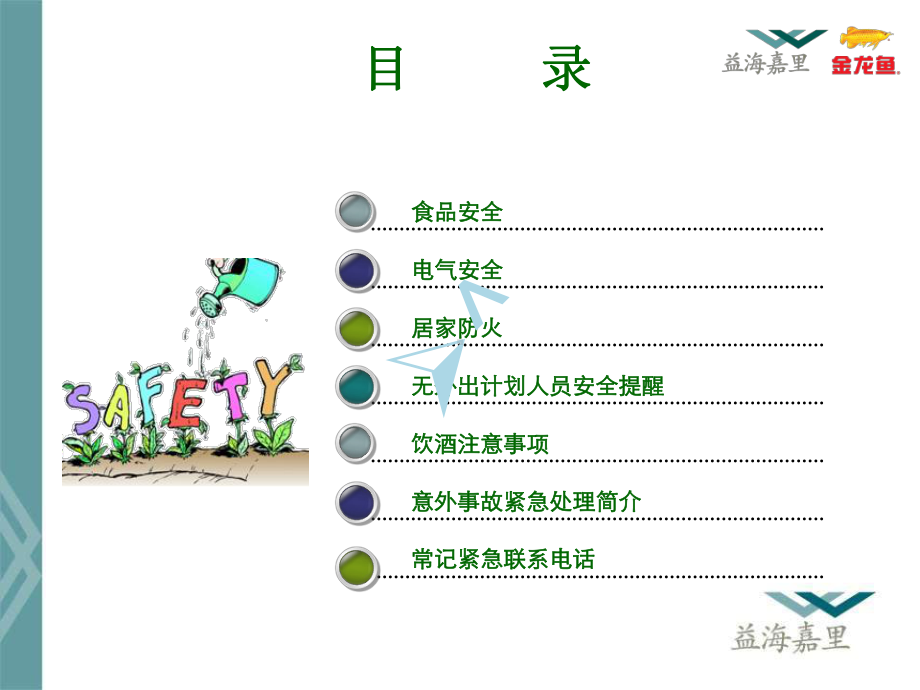 假日安全提醒(居家篇)课件.ppt_第2页