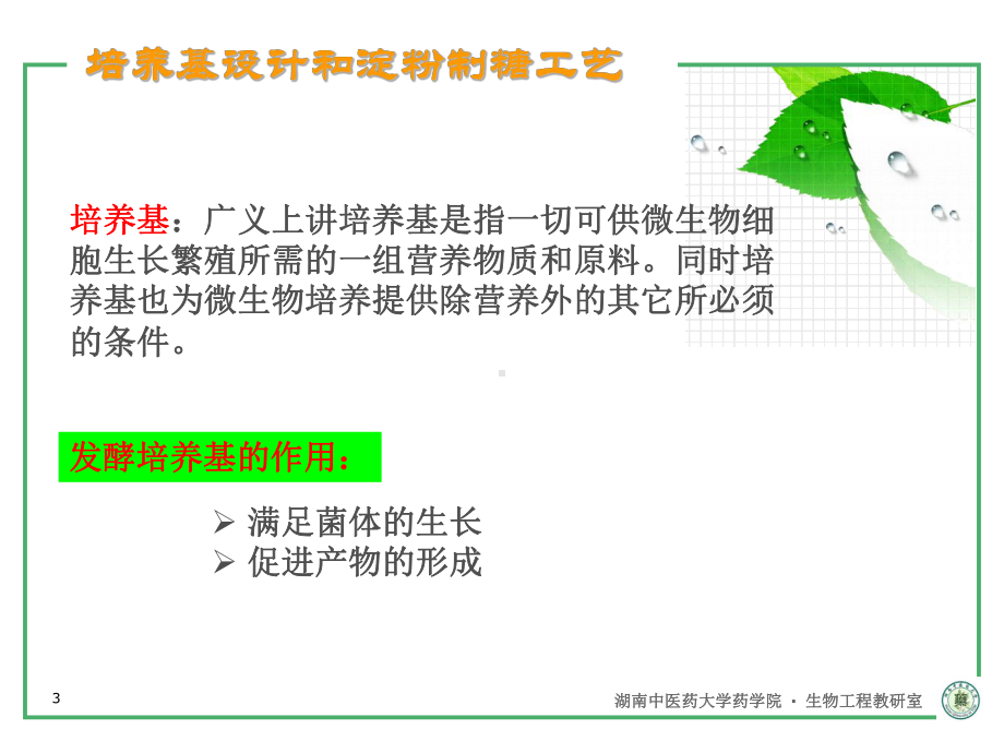 培养基设计和淀粉制糖工艺课件.ppt_第3页