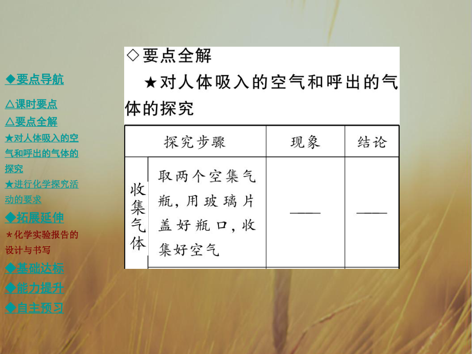 初中化学-对人体吸入的空气和呼出的气体的探究课课件.ppt_第3页