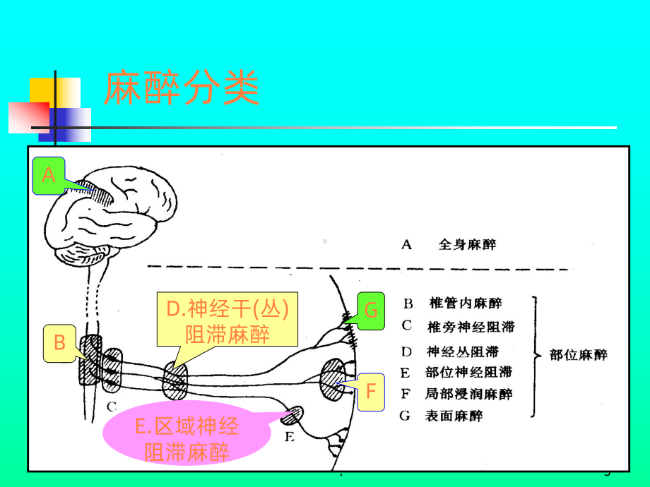 学习课件第五章麻醉病人的护理课件.ppt_第3页