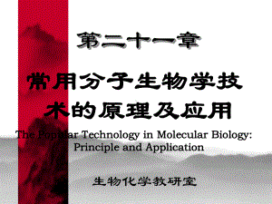 常用分子生物学技术原理及应用课件.ppt