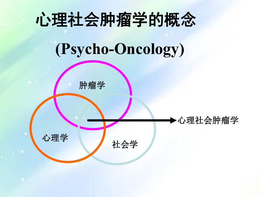 心理社会肿瘤学-课件.ppt_第3页