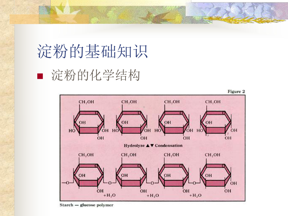 变性淀粉在食品中的运用(-38张)课件.ppt_第3页