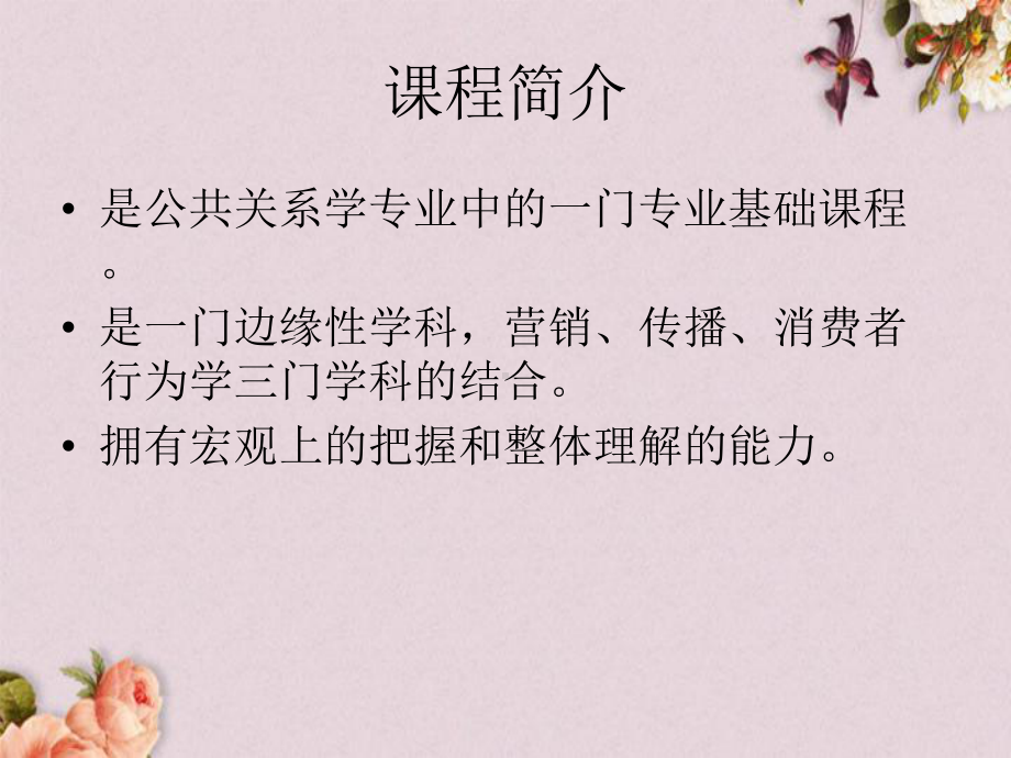 广告运作策略培训课件(-62张).ppt_第2页