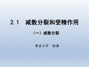 减数分裂与受精作用课件.pptx