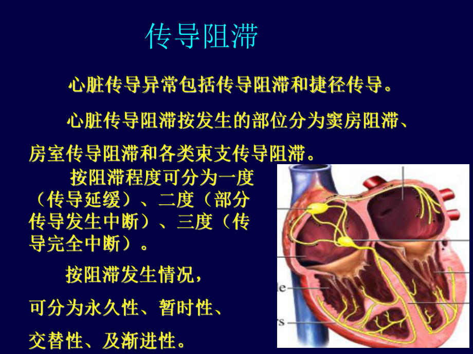 心电图知识普及讲座课件.ppt_第2页