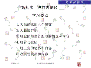 局部解剖学9股前内侧区课件.ppt