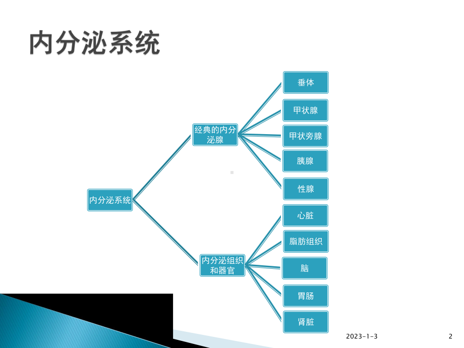 内分泌科功能试验(课堂)课件.pptx_第2页