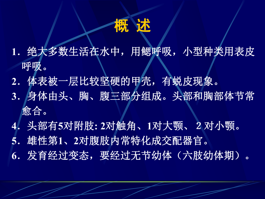 其他甲壳动物解析课件.ppt_第2页