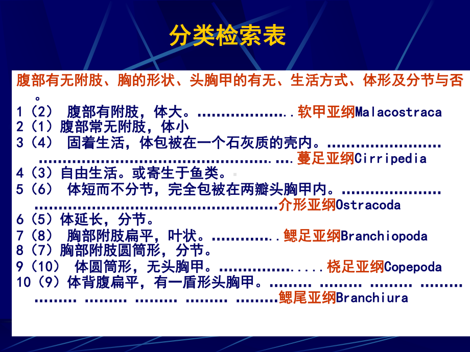 其他甲壳动物解析课件.ppt_第3页