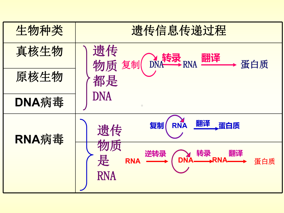 基因表达与性状的关系(18张)课件.ppt_第2页