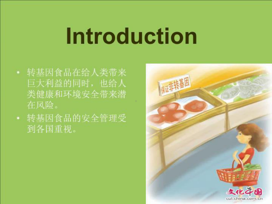 基因工程食品安全性评价课件.ppt_第3页