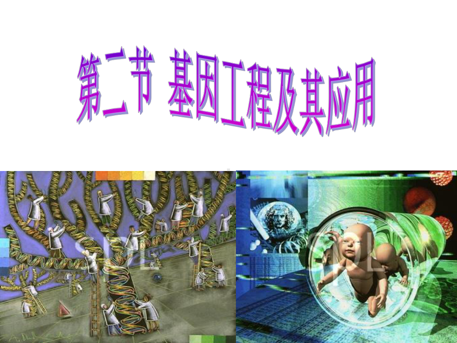 必修2第六章第二节-基因工程极其应用课件.ppt_第1页