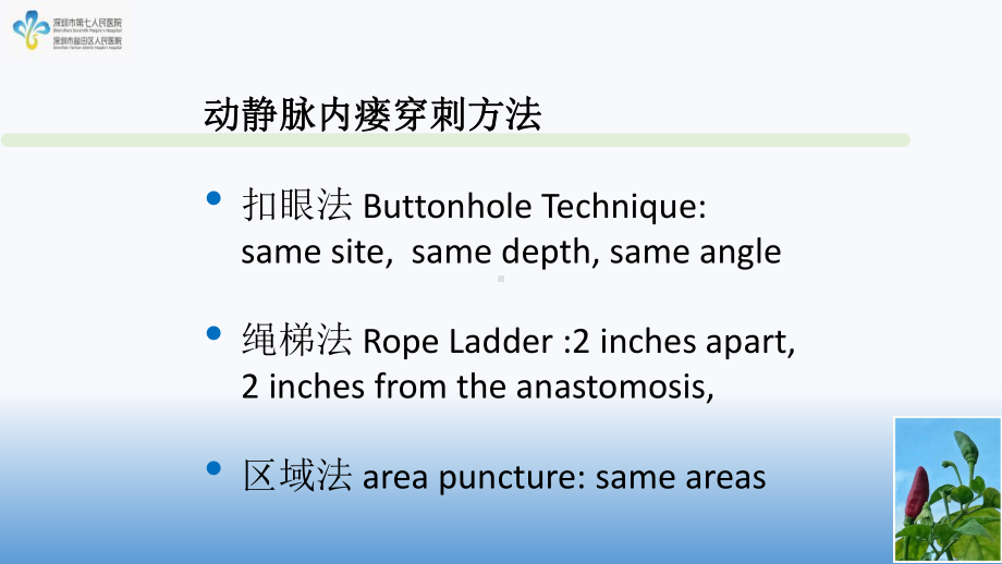 内瘘穿刺术-扣眼钝针穿刺课件.pptx_第3页