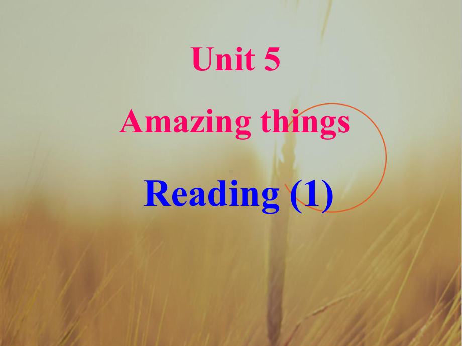 初中英语课件-Amazing-things6-.ppt_第1页